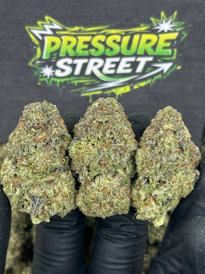 #N-EB242 - PB&J (Hybrid)