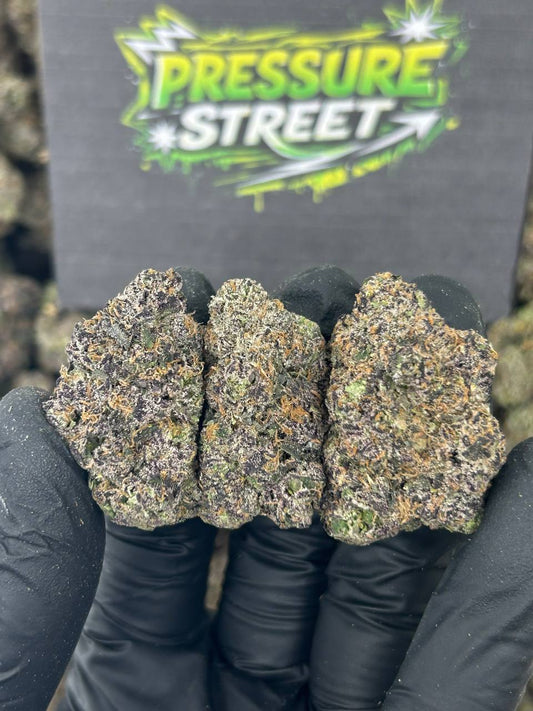 #N-CH342 - Biscotti (Hybrid)