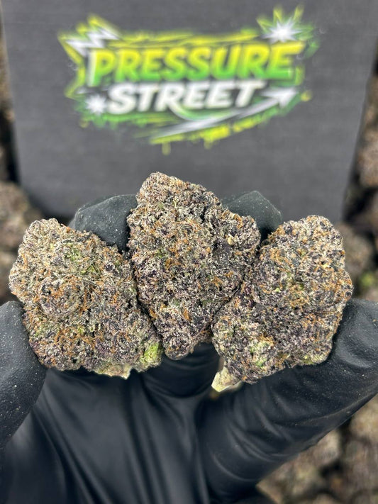 #N-CH346 - Key Lime Pie (Hybrid)