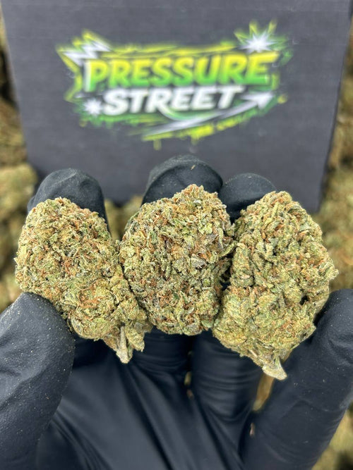 #B-EB016 - Pineapple Gusherz (Hybrid)