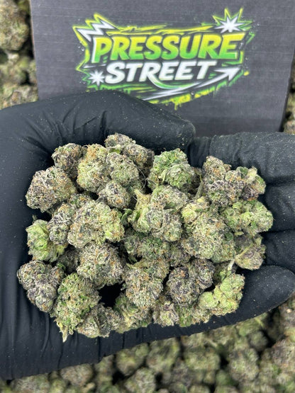 #N-ECS322 - Candybox SM (Hybrid)