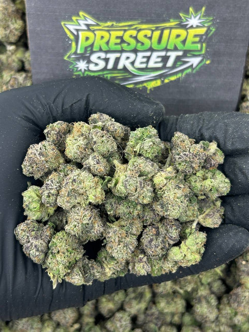 #N-ECS322 - Candybox SM (Hybrid)