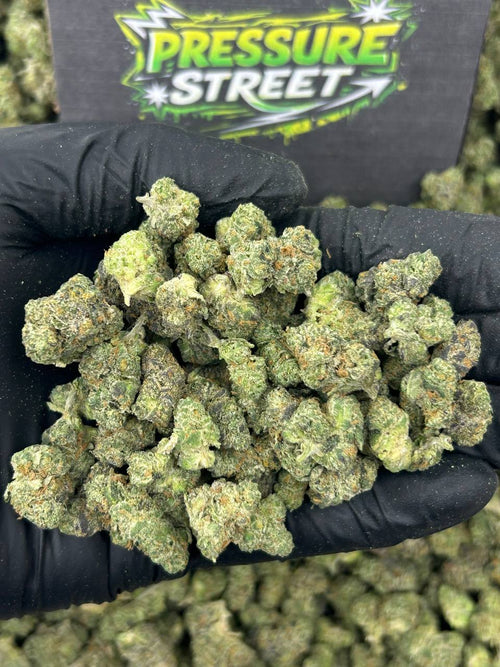 #N-ECS330 - Black Zkittle SM (Hybrid)