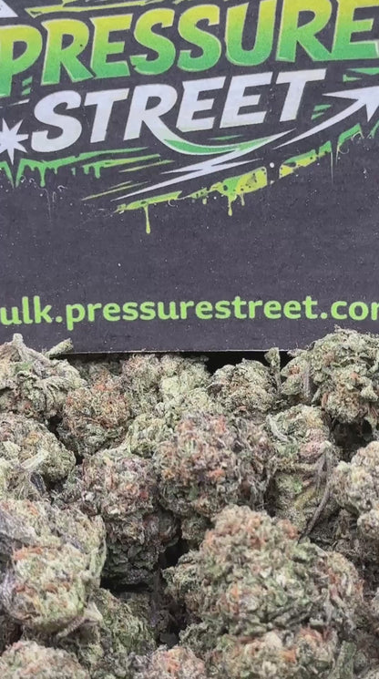 #CEA017 - Lavender Haze (Hybrid)
