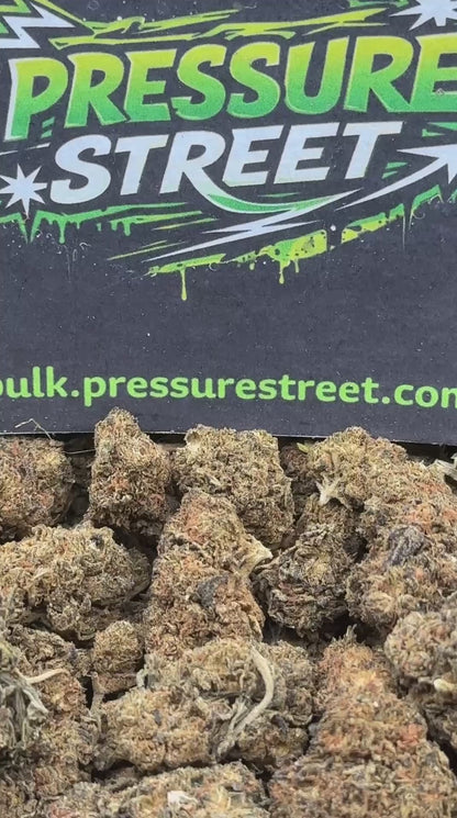 #B642 - Garden Herb (Sativa)