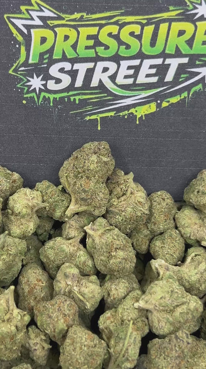 #B-ECS009 - Pineapple Jam SM (Hybrid)