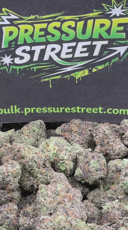 #EX602 - Sweet Cherry (Hybrid)