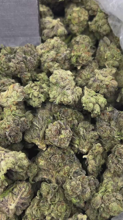 #N-EB308 - Blackberry Nerdz (Hybrid)