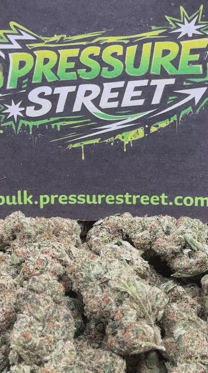 #CEA018 - Pink Truffle (Hybrid)