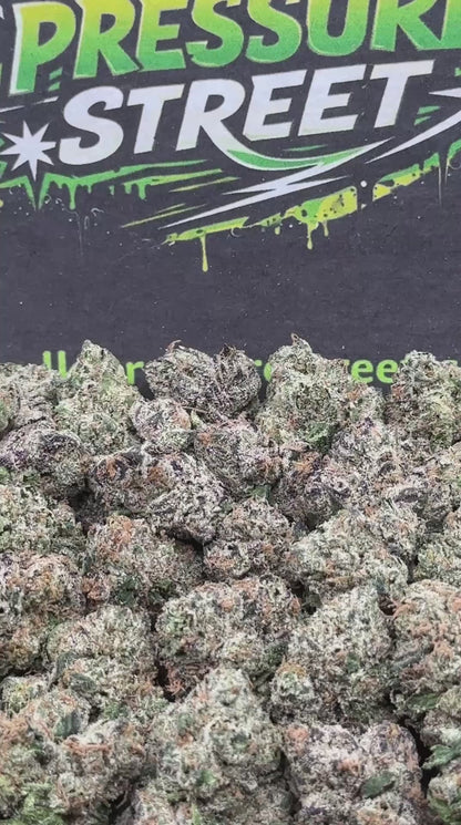 #MED67 - Midnight Cherry SM (Indica)