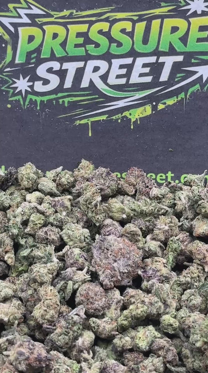 #SM518 - Lemon Cherry SM (Hybrid)