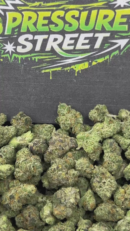 #N-ECS330 - Black Zkittle SM (Hybrid)