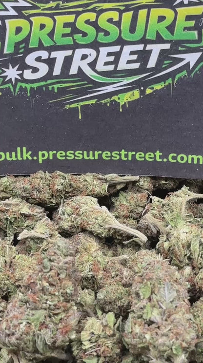 #IND146 - Pineapple Express (Sativa)