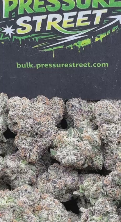 #YKL801 - Candy Cream (Hybrid)