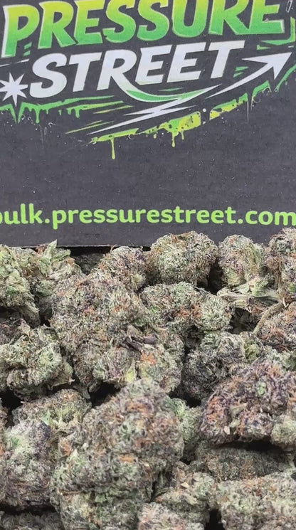 #EX604 - Tropical Bliss (Hybrid)
