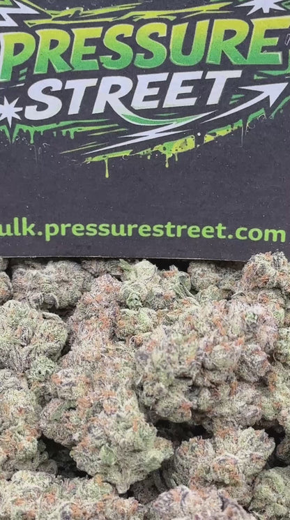 #YKLGS108 - Diesel Strike (Hybrid)