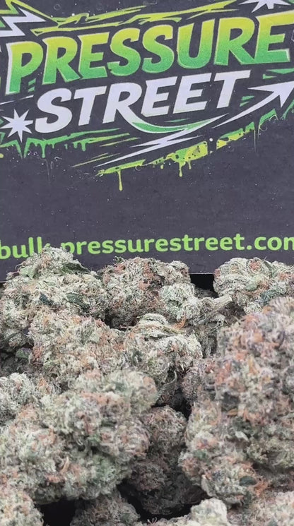 #AI212 - Frosted Cake (Indica)