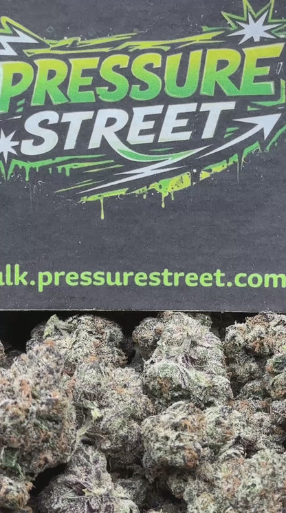 #KIL734 - Strawberry Sherbet (Hybrid)