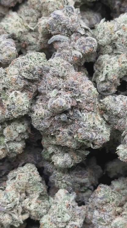 #YKL813 - Diesel Storm (Hybrid)
