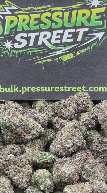 #EX583 - Apple Sundae (Hybrid)