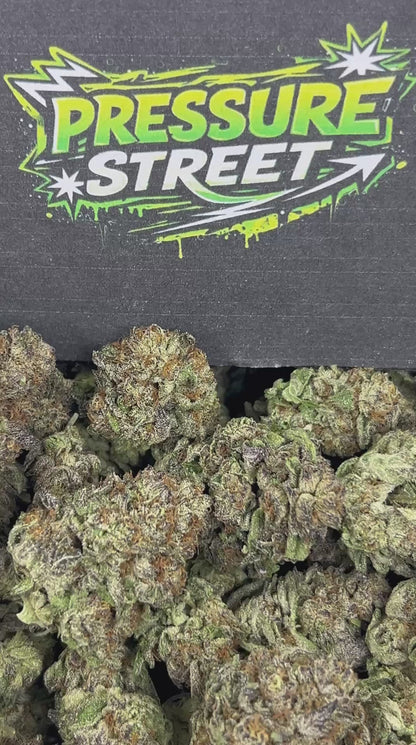 #N-EB243 - Vanilla Cruffinz (Sativa)