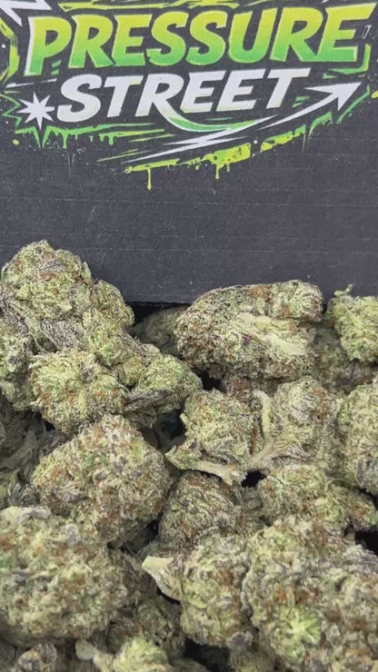 #B-EB021 - Frozen Berries (Hybrid)