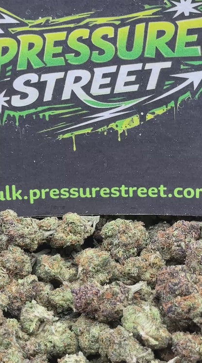 #EX556 - Mint Chocolate Runtz (Hybrid)