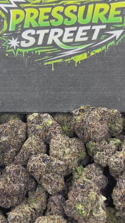 #N-CH346 - Key Lime Pie (Hybrid)
