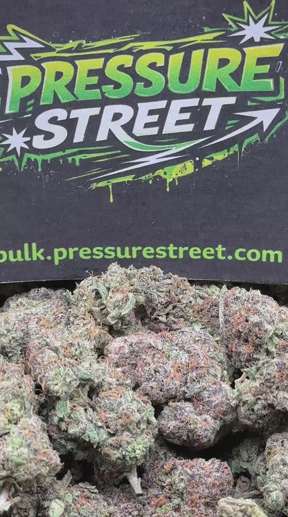 #EX576 - Garlic OG (Indica)