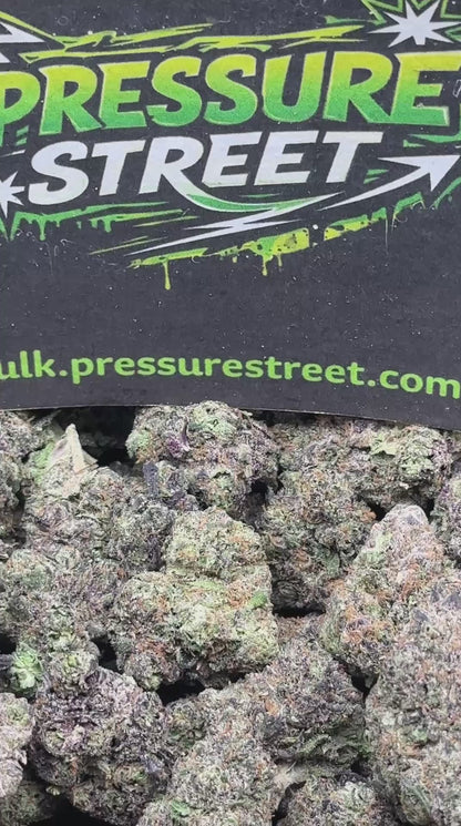#EX605 - Sherbet Cake (Hybrid)