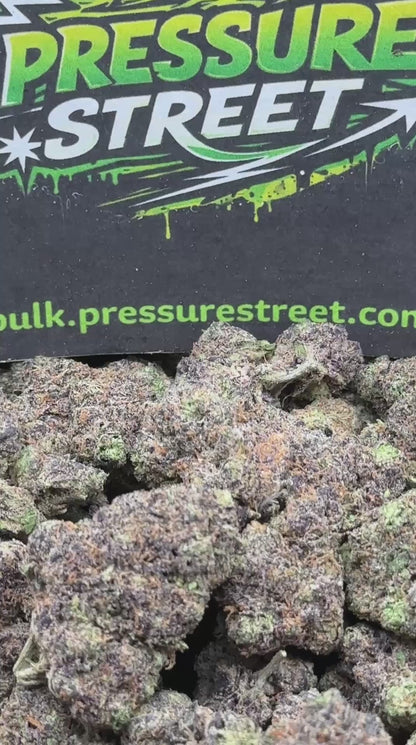 #EX587 - Cookie Crumble (Indica)