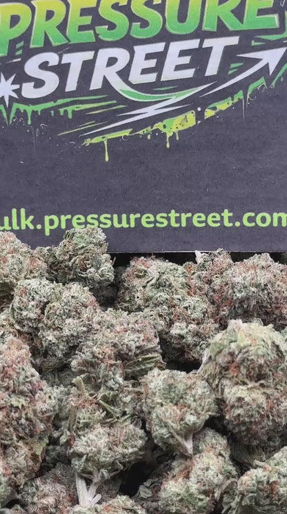 #EX538 - 9 LB Hammer (Indica)