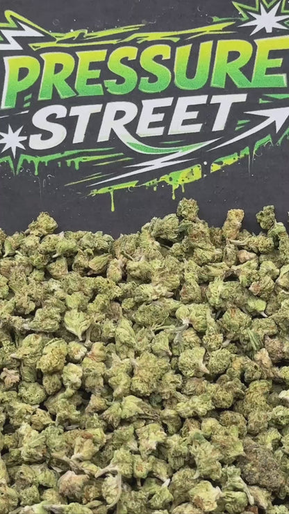 #SM479 - Stone Timber SM (Indica Hybrid)