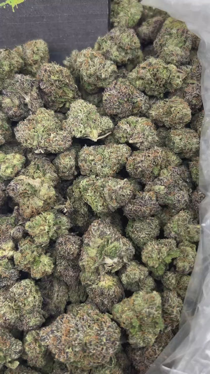 #N-CM1365 - Snoozeberry (Hybrid)