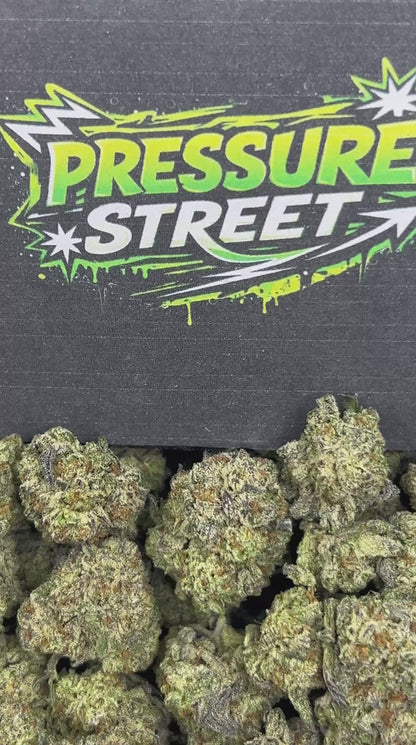 #N-EB241 - Frozen Orange (Hybrid)