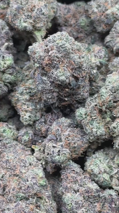 #EX616 - Peach Sunset (Hybrid)