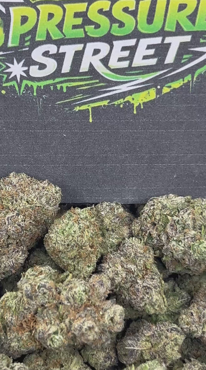 #N-CM1132 - Mochi Bowlz (Hybrid)