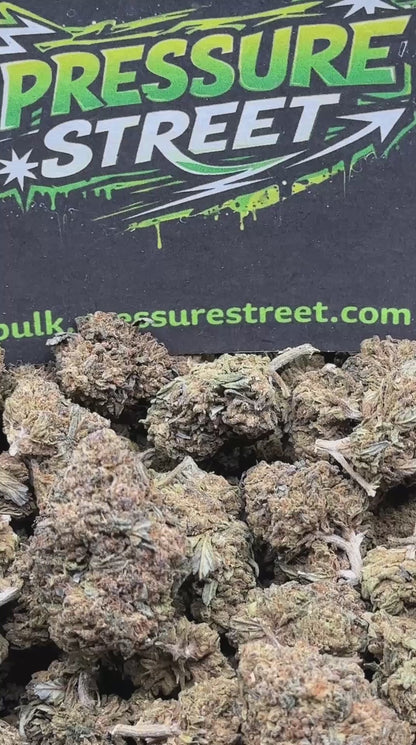 #IND134 - Pink Lemonade (Hybrid)