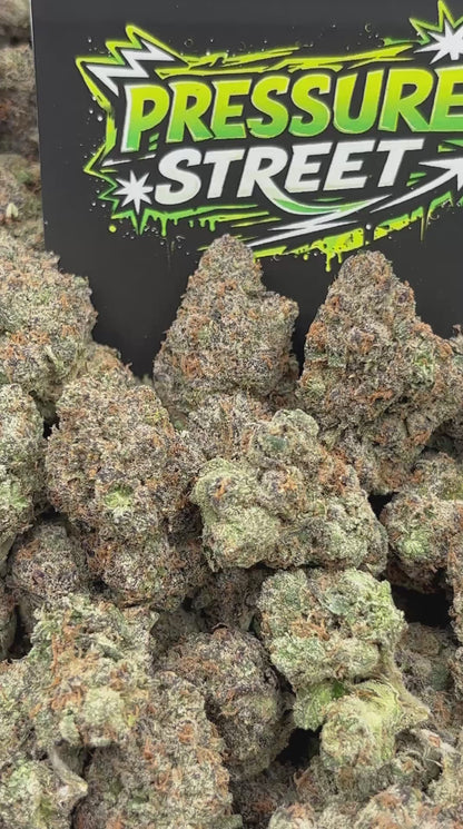 #B-EX029 - Sundae Driver (Hybrid)