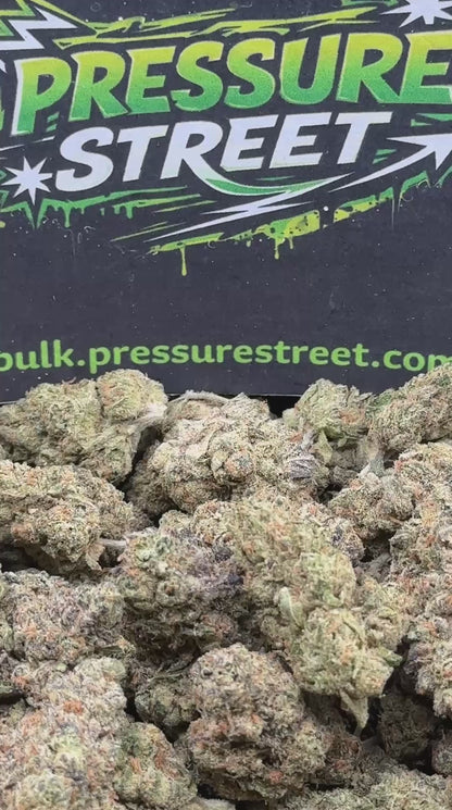 #EX501 - Cherry Cream Pop (Hybrid)