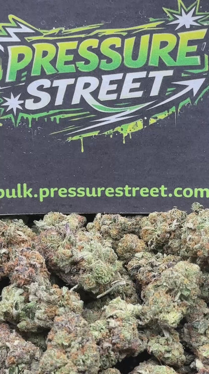 #EX553 - Ice Cream Cookies (Indica Hybrid)