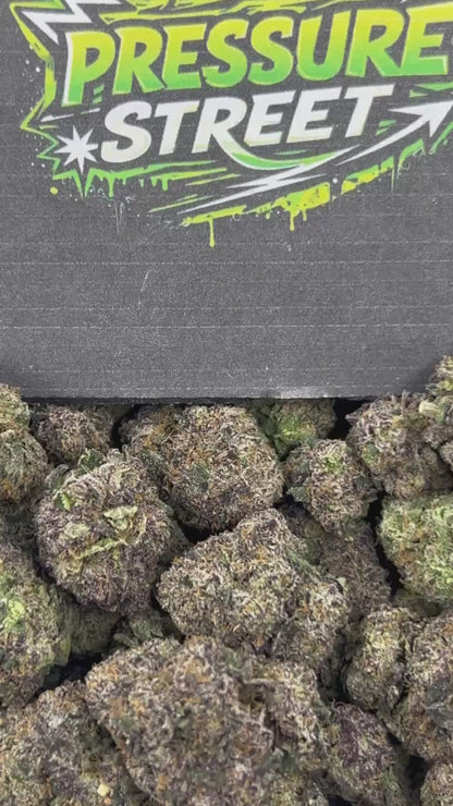 #N-CM1177 - Lemon Crush (Hybrid)