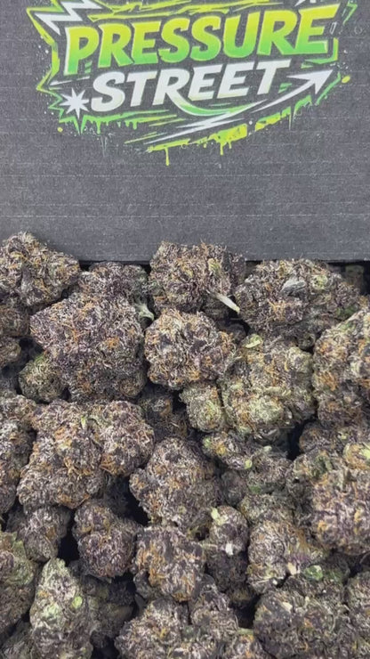#N-CM1161 - Sunset Cake (Hybrid)