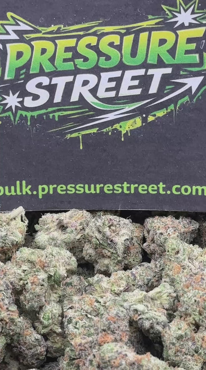 #YKL213 - Glitter Bomb (Hybrid)