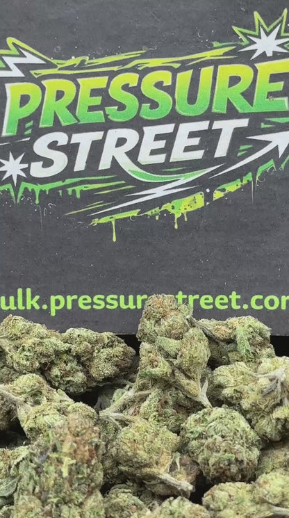 #IP023 - Bubble Gum Pop (Hybrid)