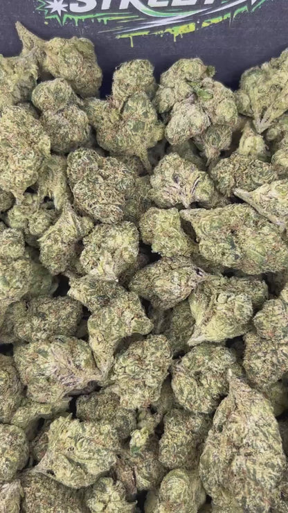 #B-EA021 - White Gelato Dream (Hybrid)