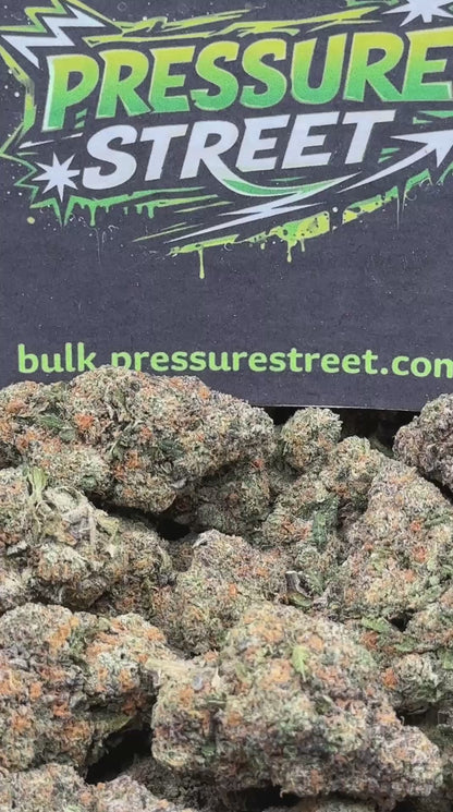#YKLGS102 - Diesel Crown (Hybrid)