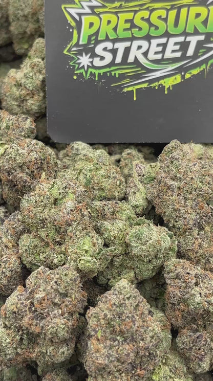 #B-EX033 - White Truffle (Indica)