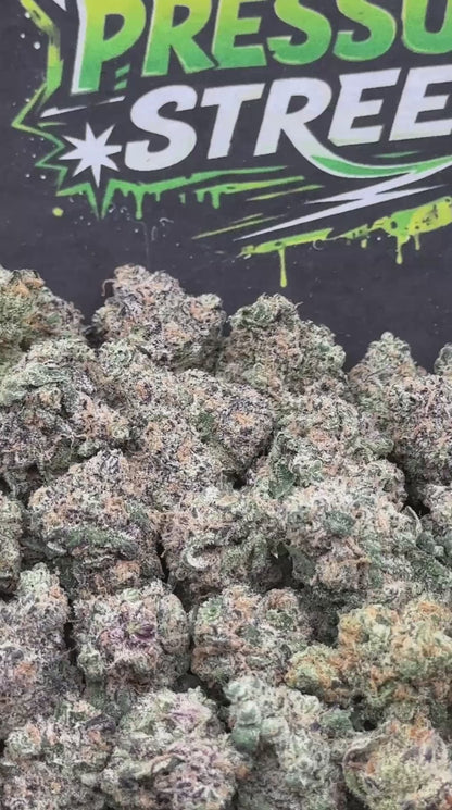 #KAM312 - Pink Mango SM (Hybrid)