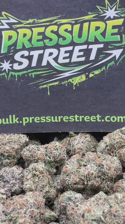 #YKL214 - GMO (Indica)